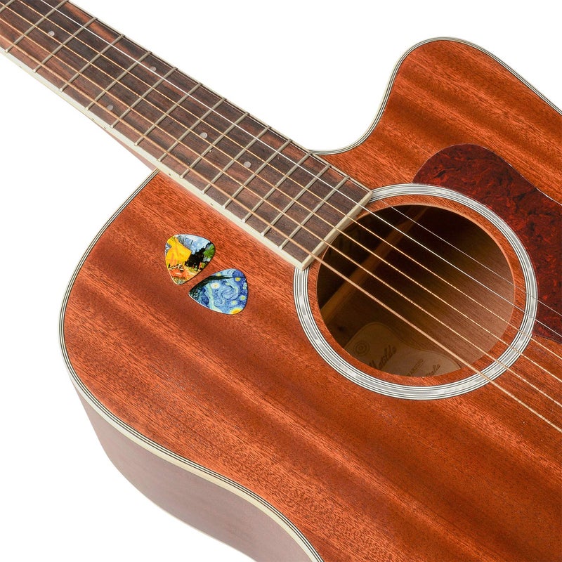 BestSounds 12 Pack Celluloid Medium Guitar Picks, Van Gogh 0.71mm Picks in a Box - Unique Guitar Gift For Bass, Electric & Acoustic Guitars.Best Gift for Men Women Guitarist - Image 4
